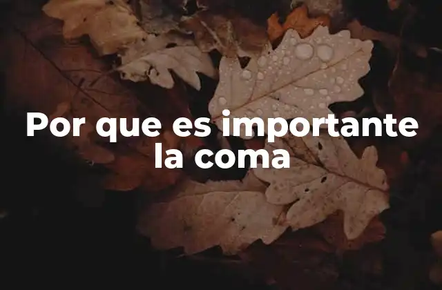 Por que es Importante la Coma