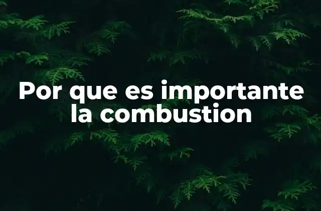 Por que es Importante la Combustion