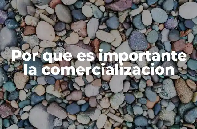 Por que es Importante la Comercializacion