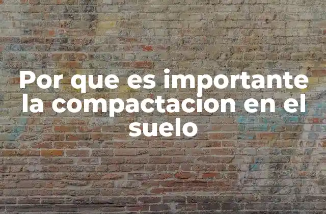 Por que es Importante la Compactacion en el Suelo