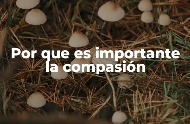 Por que es Importante la Compasión