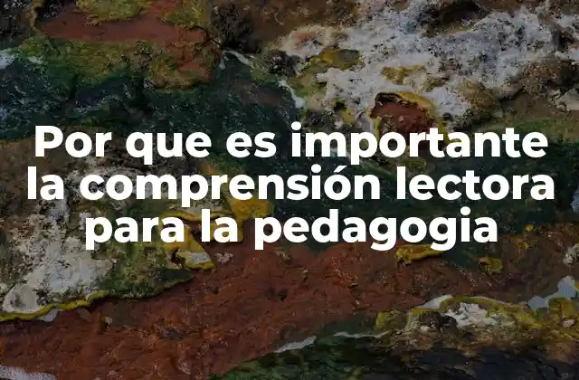 Por que es Importante la Comprensión Lectora para la Pedagogia