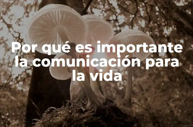Por Qué es Importante la Comunicación para la Vida