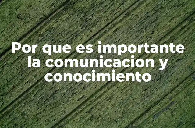 Por que es Importante la Comunicacion y Conocimiento