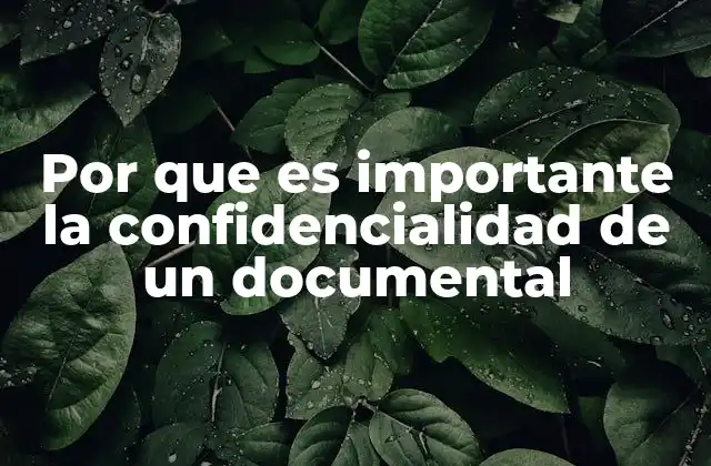 Por que es Importante la Confidencialidad de un Documental