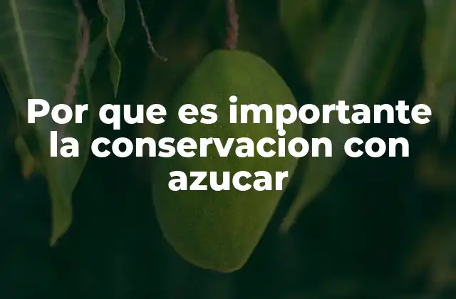 Por que es Importante la Conservacion con Azucar