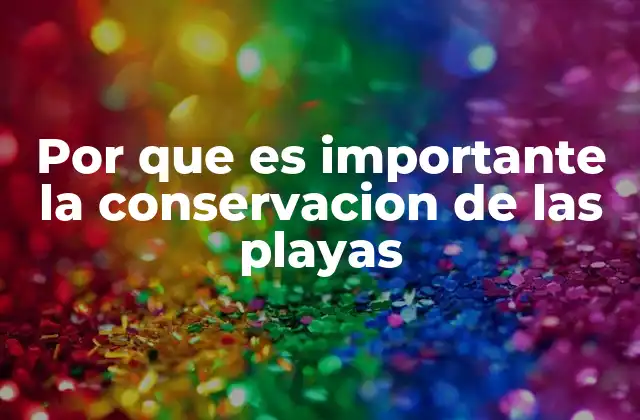 Por que es Importante la Conservacion de las Playas