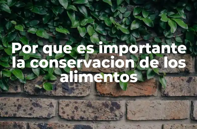 Por que es Importante la Conservacion de los Alimentos