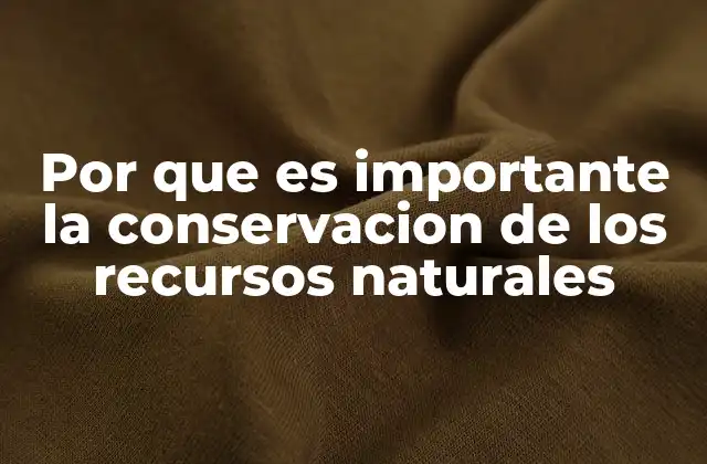 Por que es Importante la Conservacion de los Recursos Naturales