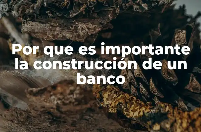Por que es Importante la Construcción de un Banco