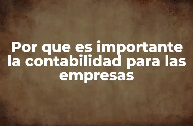 Por que es Importante la Contabilidad para las Empresas