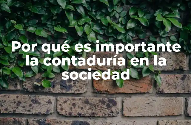 Por Qué es Importante la Contaduría en la Sociedad