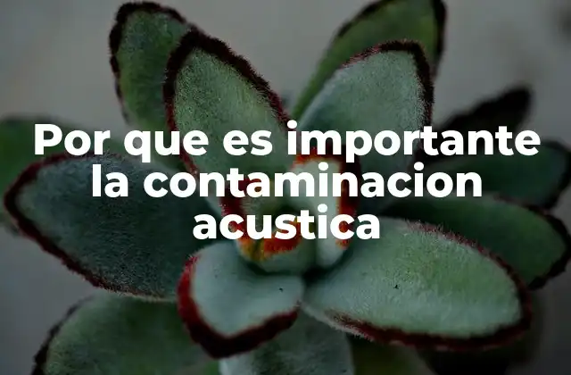 Por que es Importante la Contaminacion Acustica 2 El impacto de los ruidos en el bienestar humano