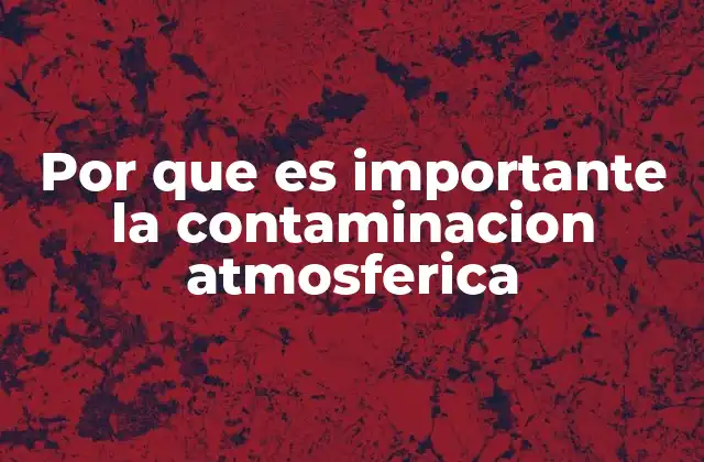 Por que es Importante la Contaminacion Atmosferica