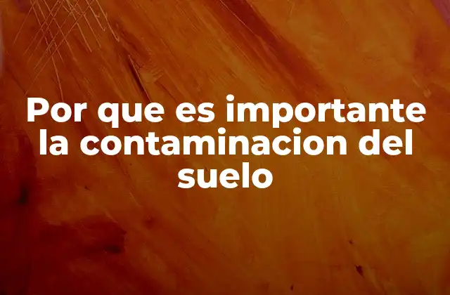Por que es Importante la Contaminacion Del Suelo
