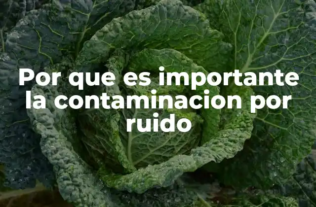 Por que es Importante la Contaminacion por Ruido