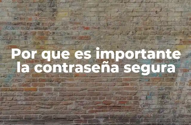 Por que es Importante la Contraseña Segura