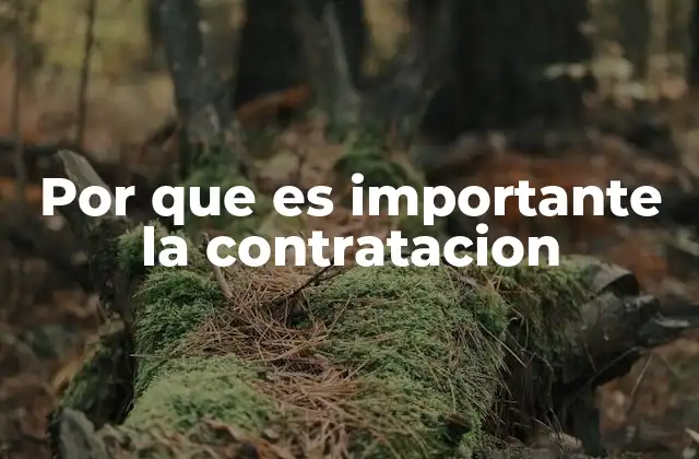 Por que es Importante la Contratacion