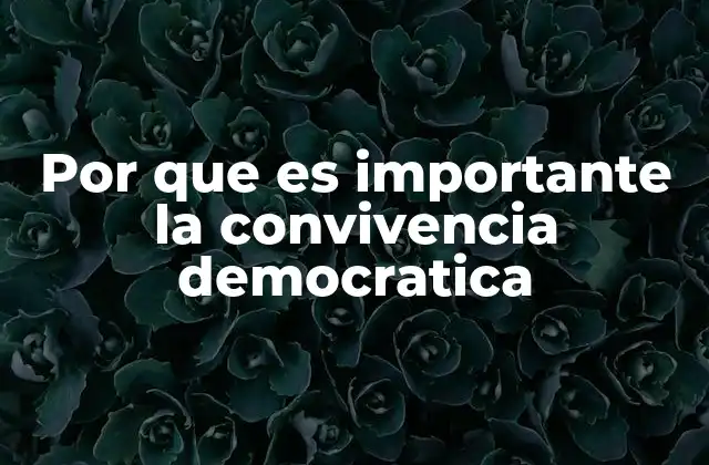Por que es Importante la Convivencia Democratica
