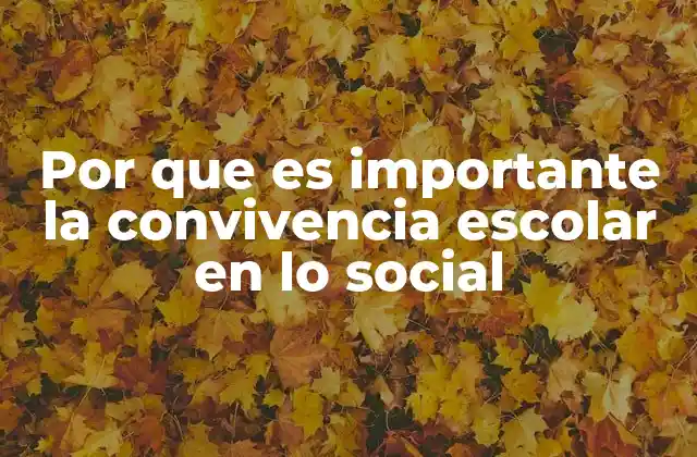Por que es Importante la Convivencia Escolar en Lo Social