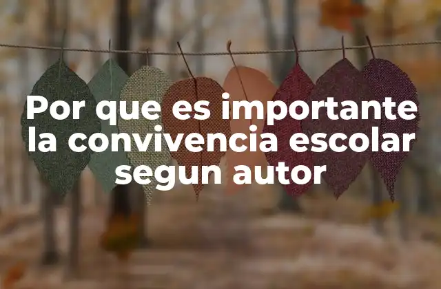 Por que es Importante la Convivencia Escolar Segun Autor