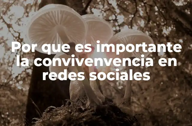 Por que es Importante la Convivenvencia en Redes Sociales