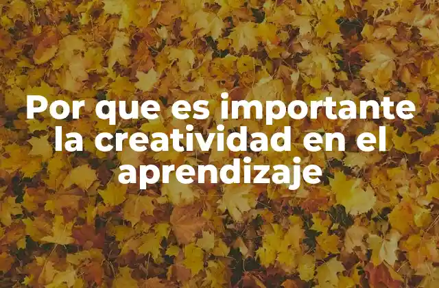 Por que es Importante la Creatividad en el Aprendizaje