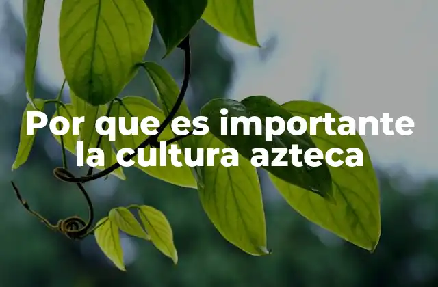 Por que es Importante la Cultura Azteca