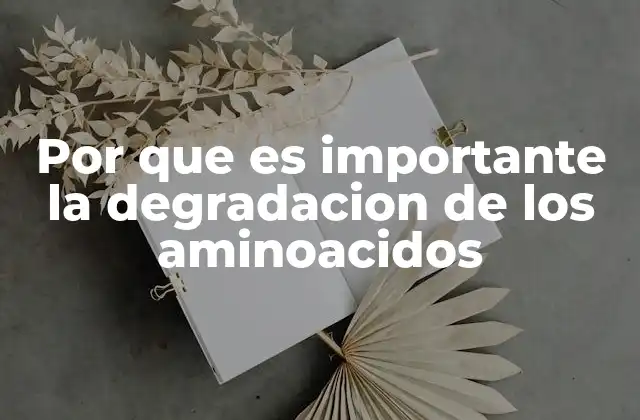 Por que es Importante la Degradacion de los Aminoacidos