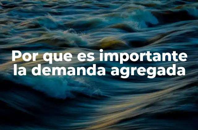 Por que es Importante la Demanda Agregada