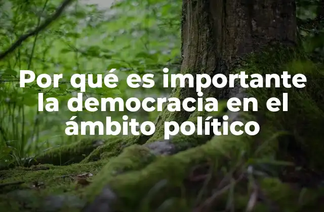 Por Qué es Importante la Democracia en el Ámbito Político