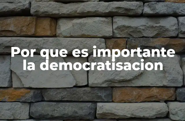 Por que es Importante la Democratisacion