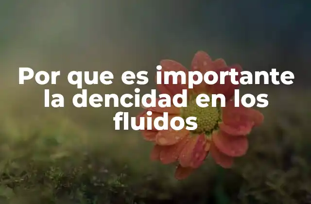 Por que es Importante la Dencidad en los Fluidos