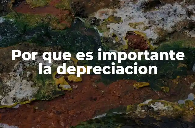 Por que es Importante la Depreciacion