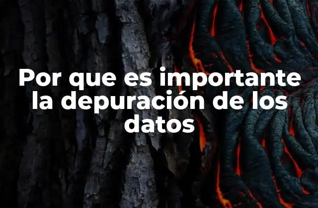 Por que es Importante la Depuración de los Datos