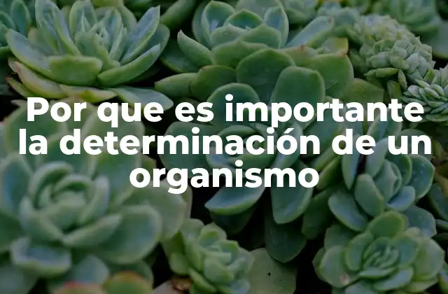 Por que es Importante la Determinación de un Organismo