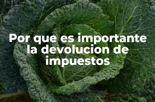 El impacto de la devolución de impuestos en la economía personal