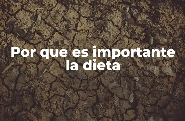 Por que es Importante la Dieta