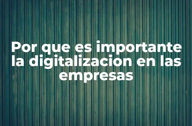 Por que es Importante la Digitalizacion en las Empresas