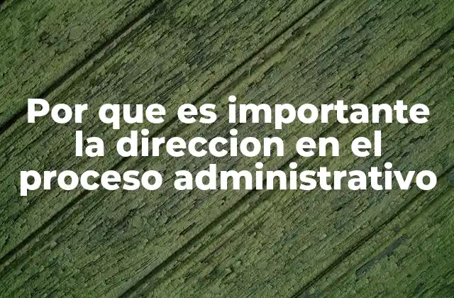 Por que es Importante la Direccion en el Proceso Administrativo