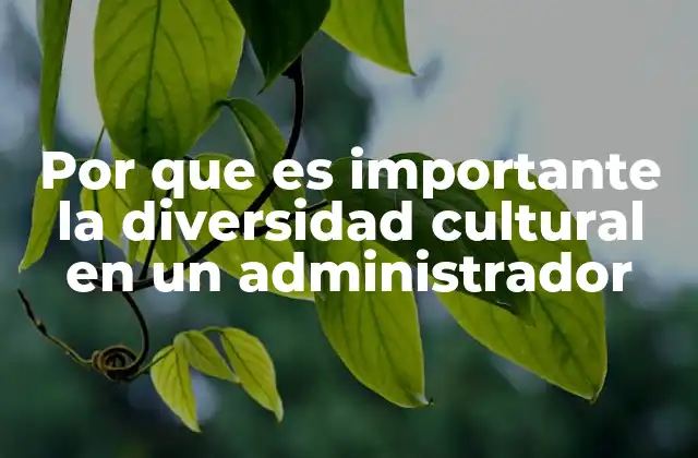 Por que es Importante la Diversidad Cultural en un Administrador
