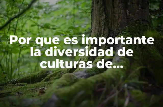 Por que es Importante la Diversidad de Culturas de Organizaciones