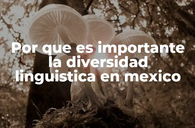 Por que es Importante la Diversidad Linguistica en Mexico
