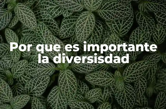 Por que es Importante la Diversisdad