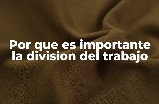 Por que es Importante la Division Del Trabajo
