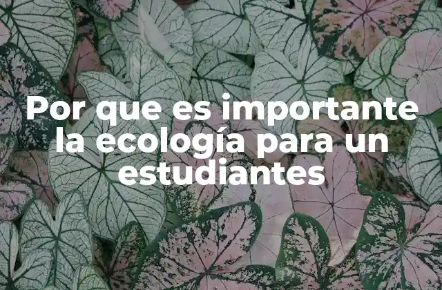 Por que es Importante la Ecología para un Estudiantes