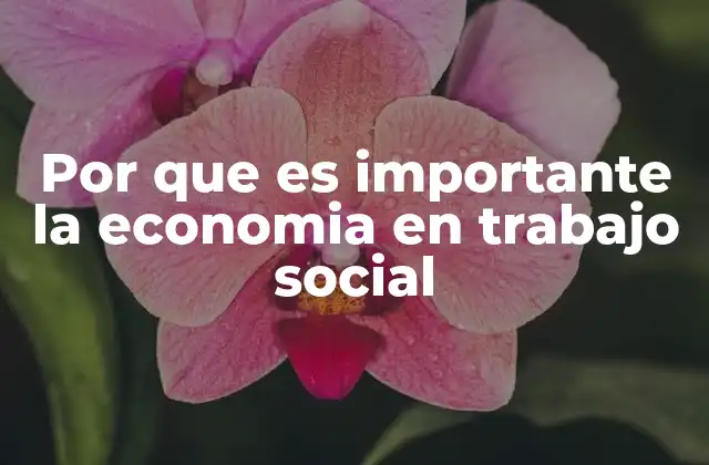 Por que es Importante la Economia en Trabajo Social