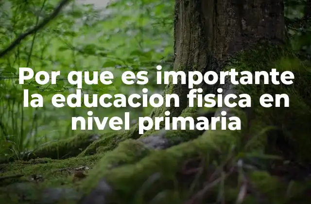 Por que es Importante la Educacion Fisica en Nivel Primaria