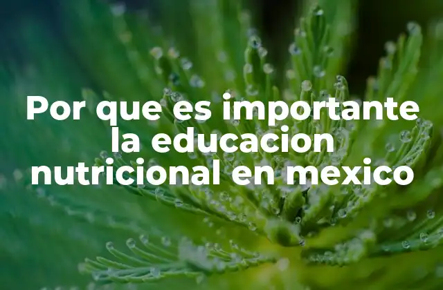 Por que es Importante la Educacion Nutricional en Mexico