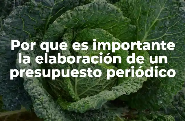 Por que es Importante la Elaboración de un Presupuesto Periódico